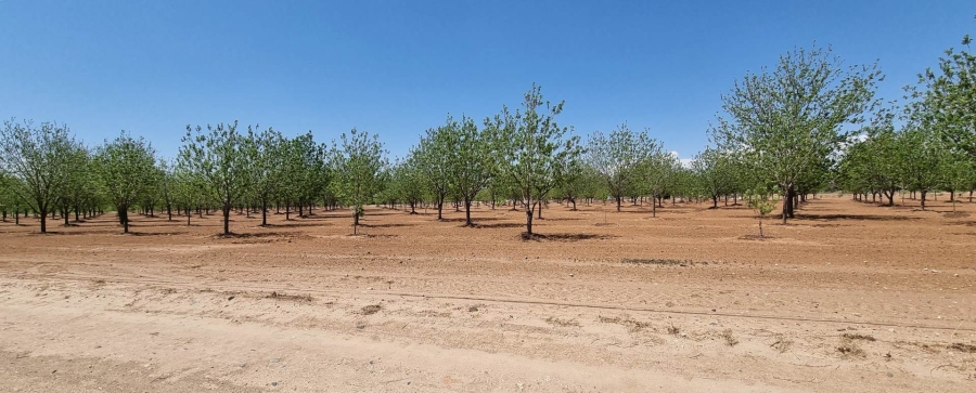 Commercial Property for Sale in Die Erwe Northern Cape